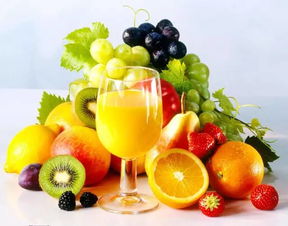 探秘果汁工廠 從水果采摘到灌裝成品的全程體驗