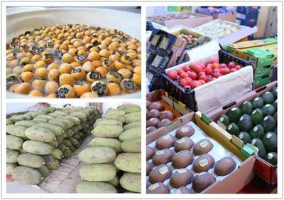 禪城南莊大型水果批發市場開業，市民迎來“水果自由”新選擇